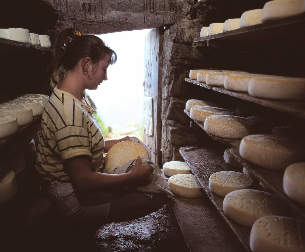 Produkcja serów w Piemoncie