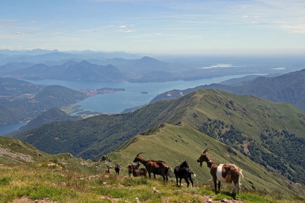 Monte Massone, Piemont