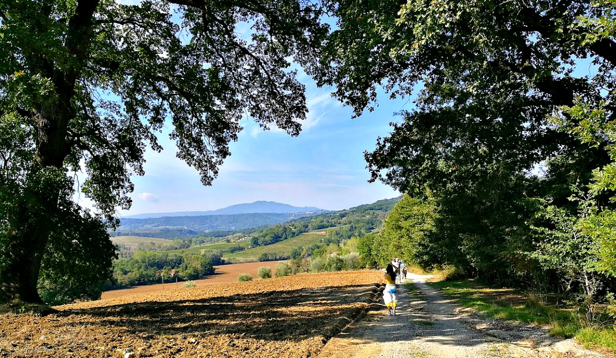 Via Amerina. Szlak św. Franciszka z Asyżu do Rzymu