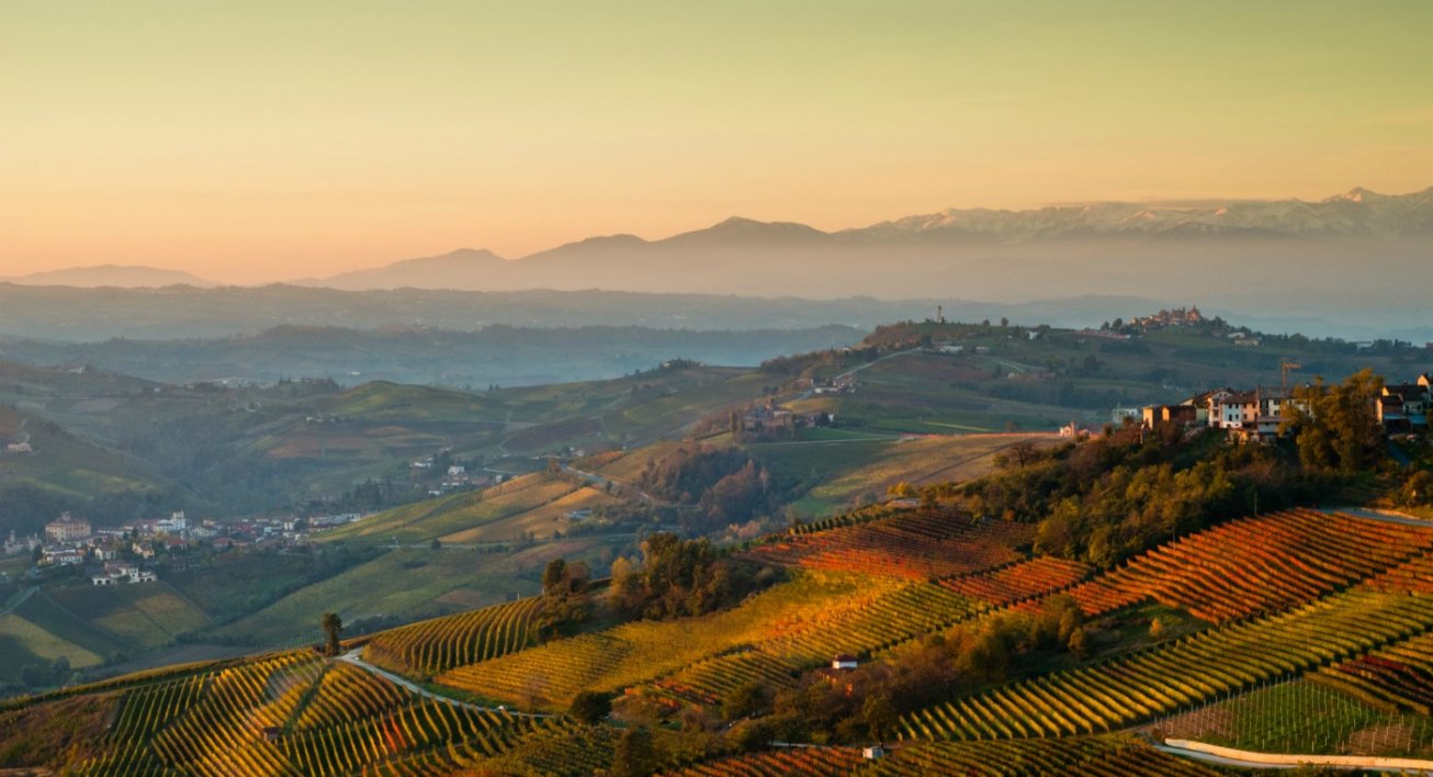 Krajobraz Langhe. Cascina La Ghersa, Barbera d'Asti