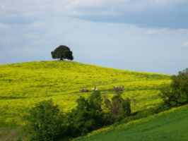 Fattoria Pieve A Salti, Toskania