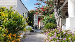 Villa Searose, Lipari, Sycylia. Sprawdzone noclegi we Włoszech.