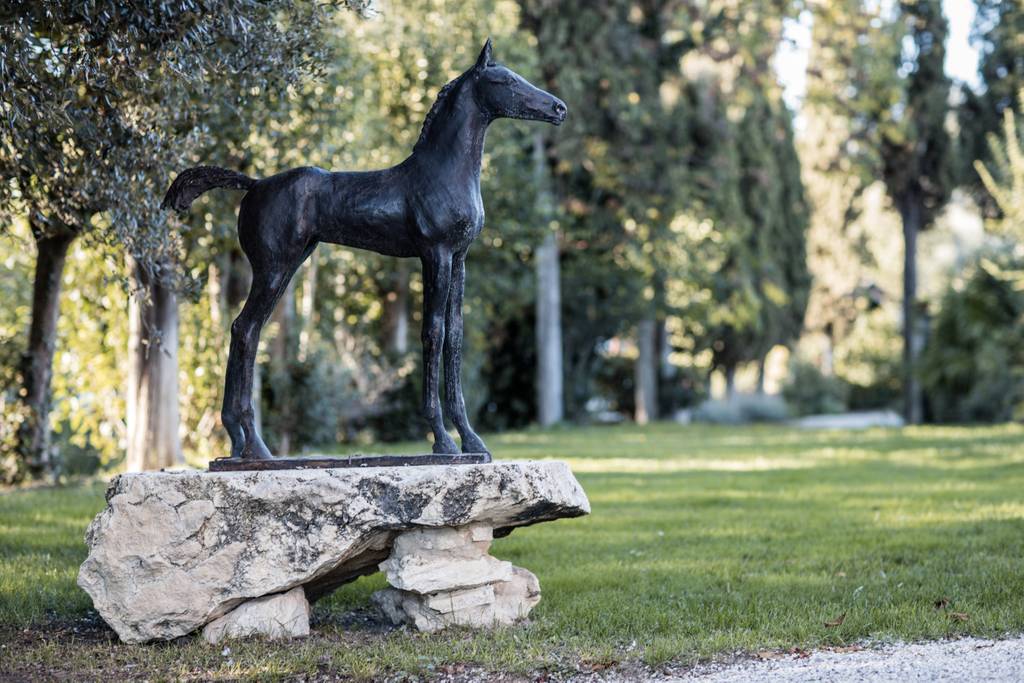 Konie w Villa il Poggio, Sinalunga w Toskanii