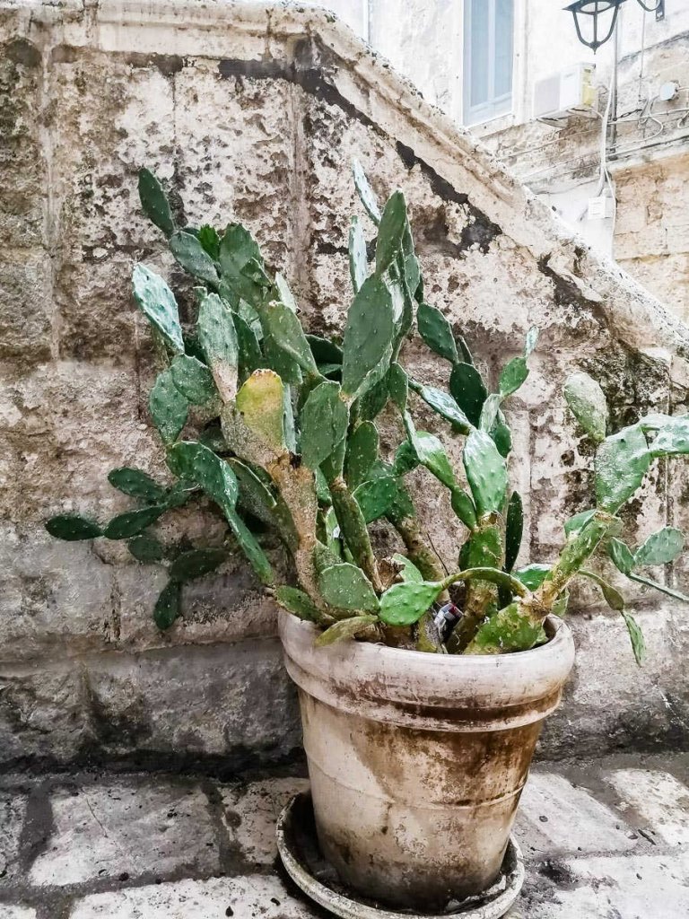 Monopoli, Apulia, Puglia