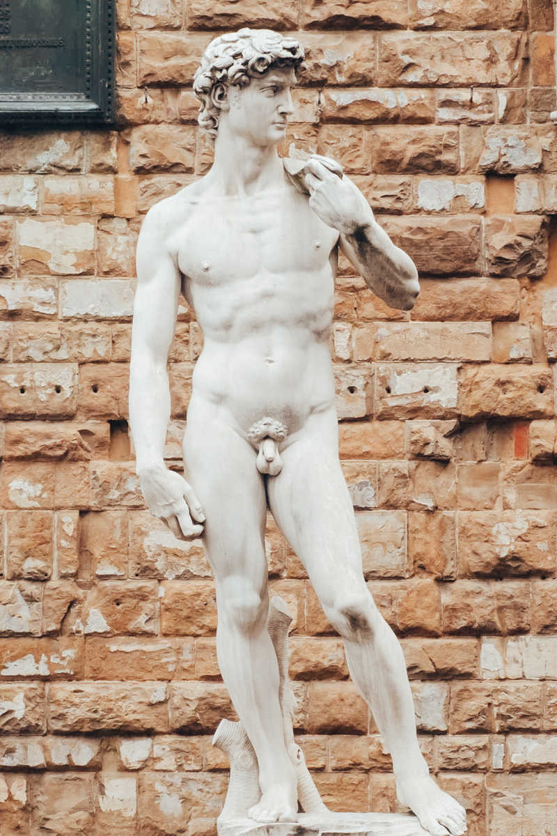 Dawid – rzeźba Michała Anioła przedstawiająca biblijnego Dawida bezpośrednio przed walką z Goliatem. 