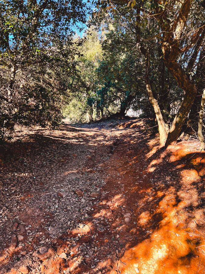 Parco delle Biancane, Monterotondo Marittimo, Toskania