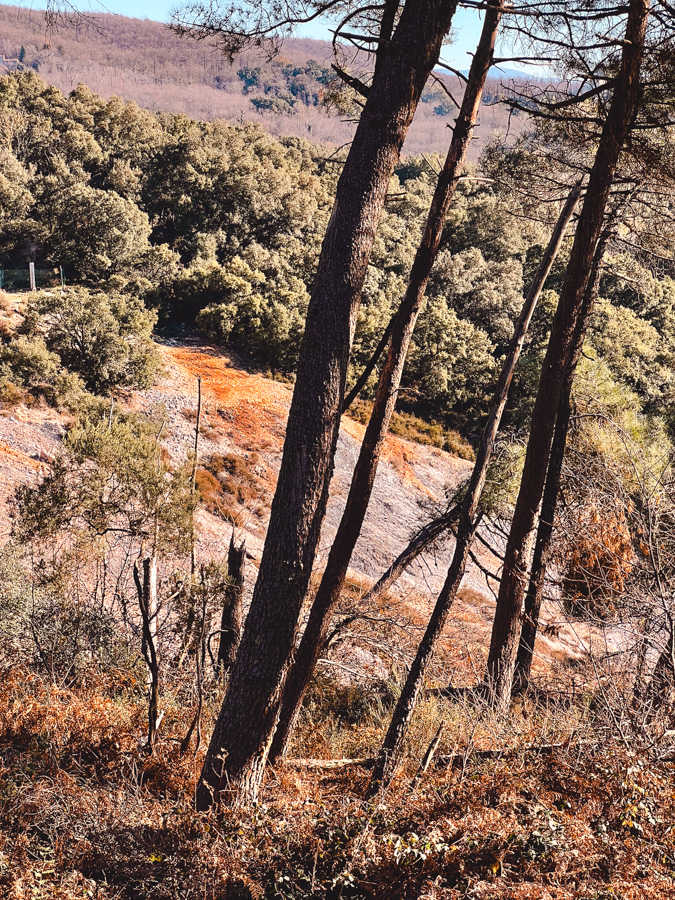 Parco delle Biancane, Monterotondo Marittimo, Toskania
