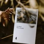 Triest, czyli nigdzie. Jan Morris