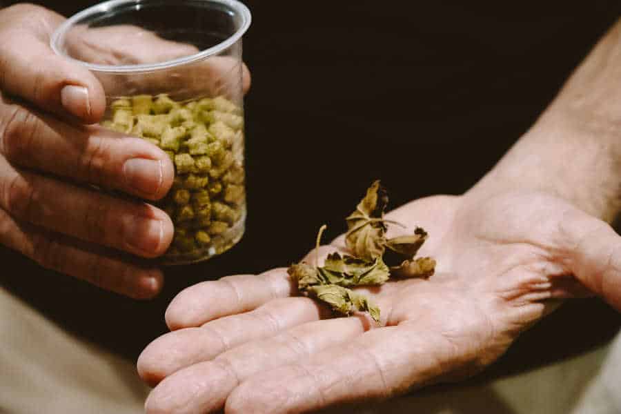 Birrificio 4 Mori, Montevecchio, Sardynia