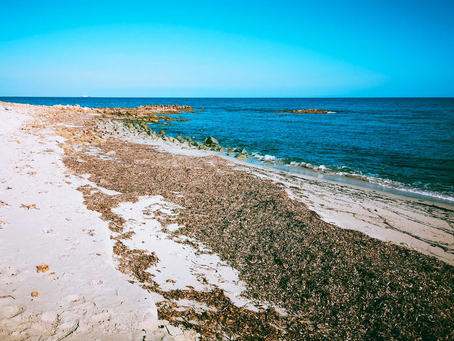 Posydonia na plaży – dlaczego Włosi jej nie sprzątają choćby latem?