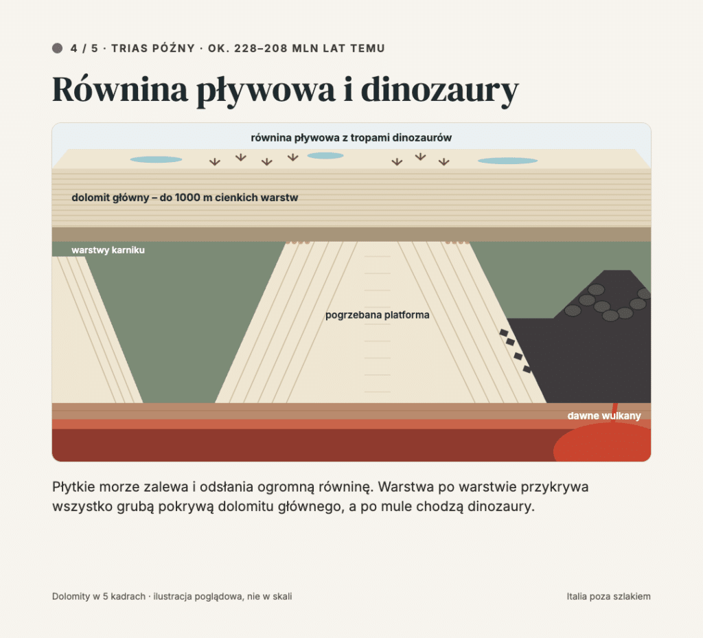 Równina pływowa